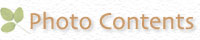 フォトコンテンツ
