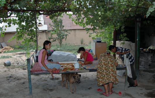 �R�`���R���E�A�^�̃^�N�V�[�h���C�o�[��̒�