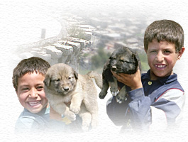 �N���b�N�E�f�E�V���o���G