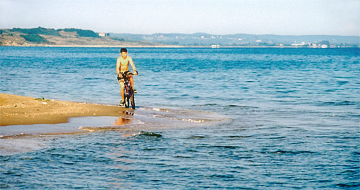 �V�m�b�v�E���C�C�ݐ�