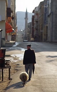 sinop�E�r�̎U��