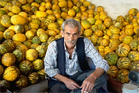 �X�C�J����